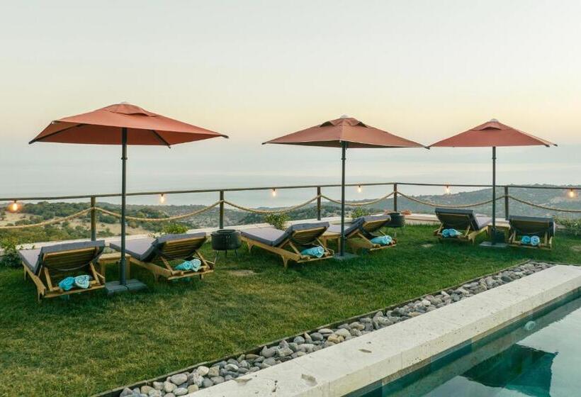 ホテル Vita Naturalis