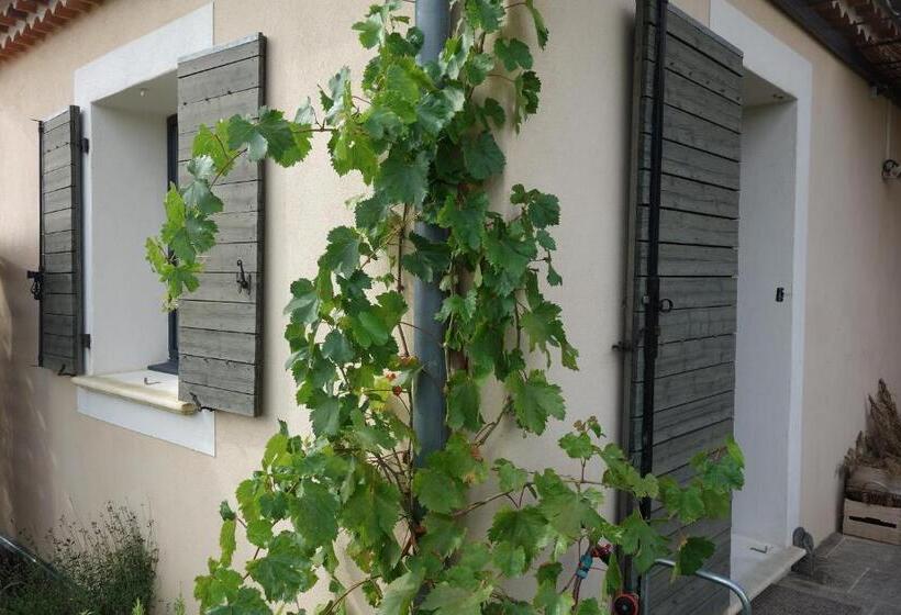 Pensjonat Etoileduventoux   Nyons Vaison La Romaine   2pers