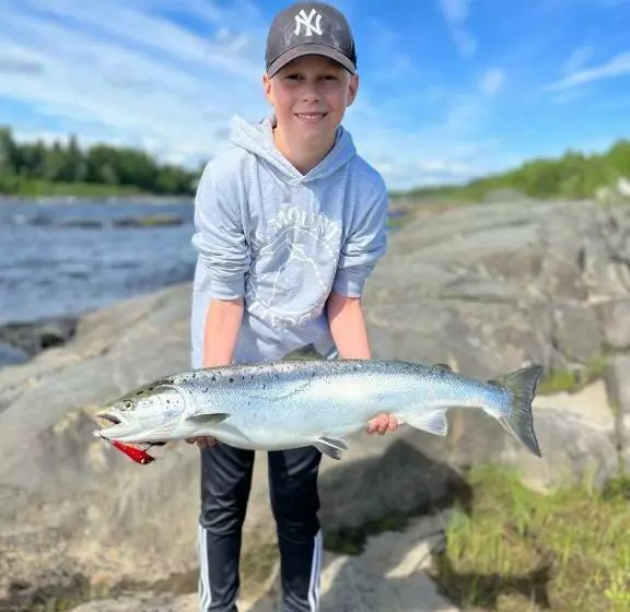 Lomakeskus Lapinkoski Salmon Lodges Simojoki   Simoriver