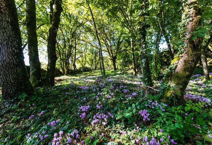 צימר Les Enclos Secrets