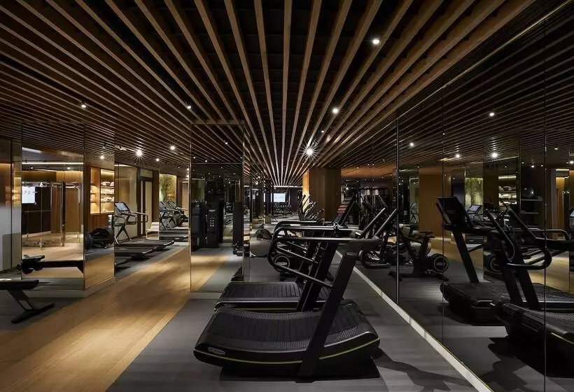 酒店 45 Park Lane Dorchester Collection