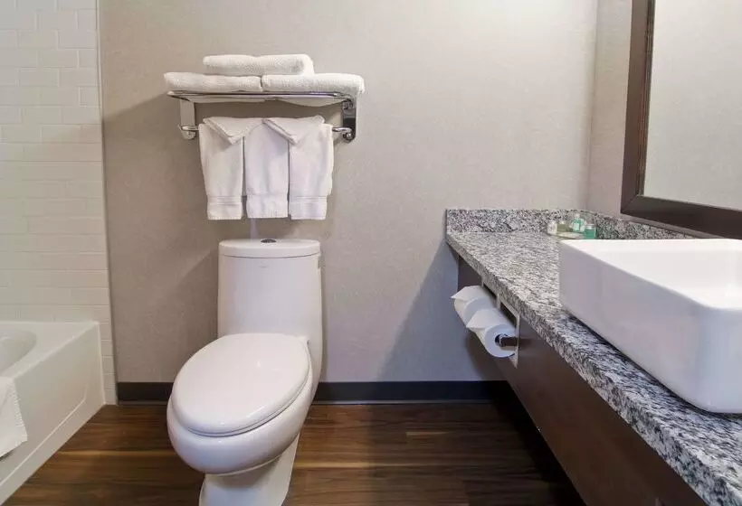 酒店 Home Inn & Suites Regina Airport