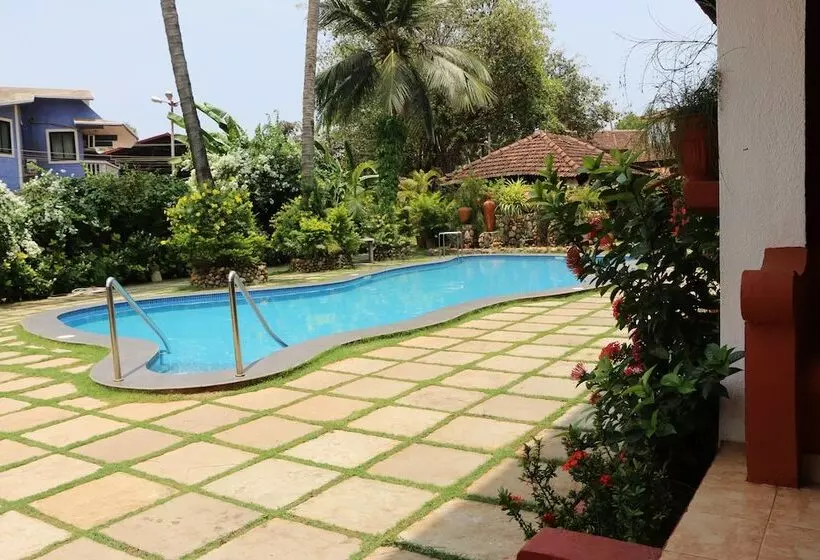 Hôtel Kingstork Beach Resort