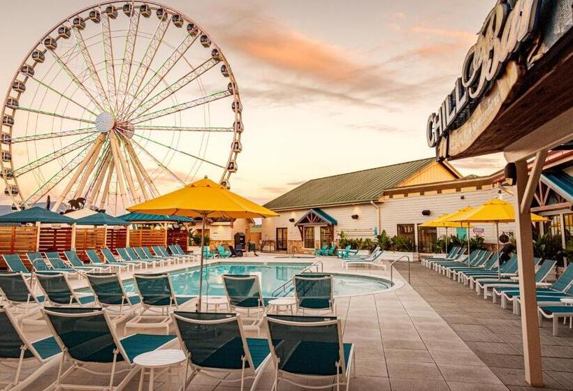 فندق Margaritaville Island