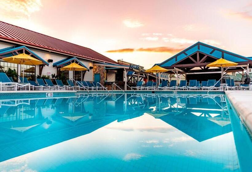 فندق Margaritaville Island