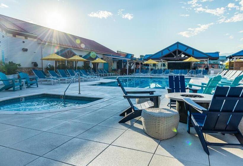 فندق Margaritaville Island