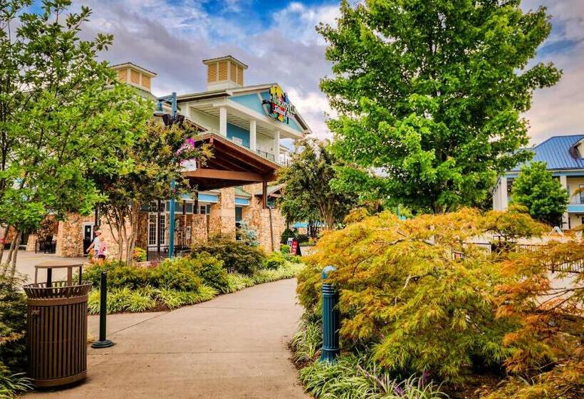 فندق Margaritaville Island