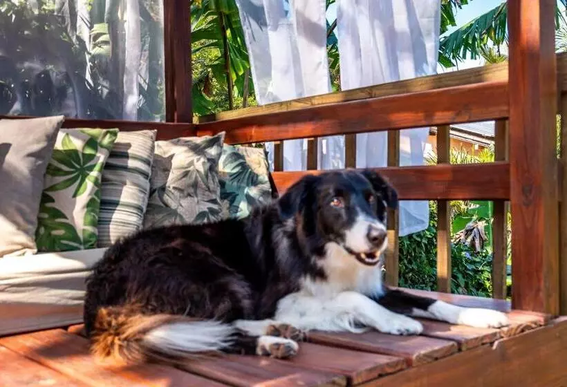 Hotel Morada Da Praia Do Rosa Pousada