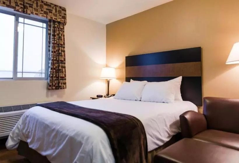 酒店 Welcome Suites Minot