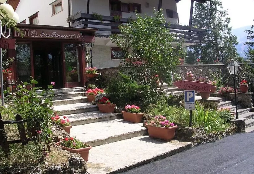فندق Orso Bianco