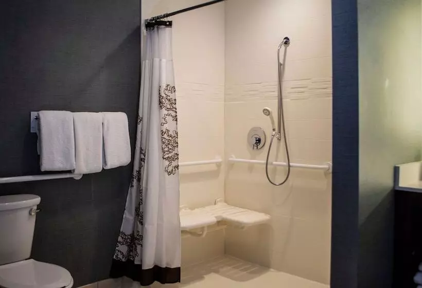 Отель Residence Inn By Marriott Harlingen