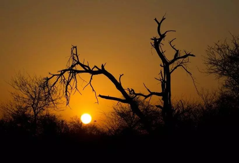 ホテル Rhino Ridge Safari Lodge