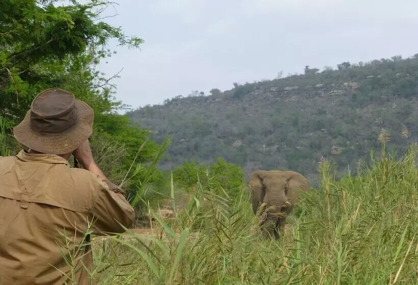 ホテル Rhino Ridge Safari Lodge