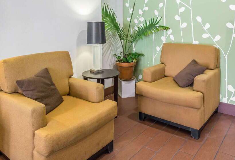 בית מלון כפרי Sleep Inn Center City