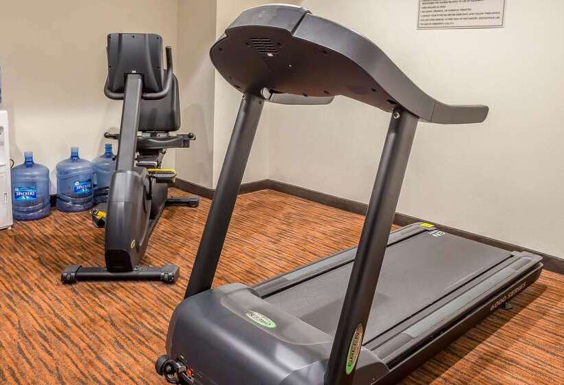 בית מלון כפרי Sleep Inn Center City