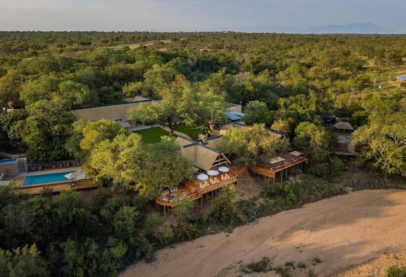 ホテル Thornybush Game Lodge
