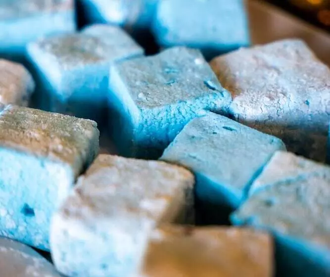 Hotel Thornybush Game Lodge