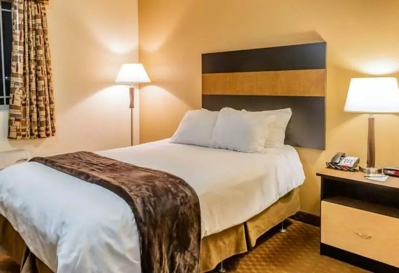 酒店 Welcome Suites Minot