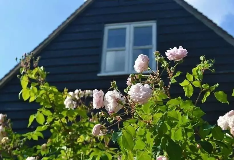 پانسیون The Cottage Guest House