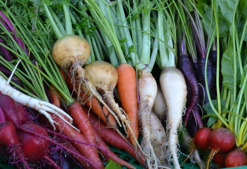 בית מלון כפרי L Blå Blom