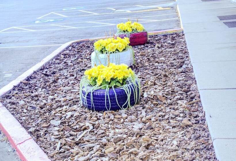 モーテル Travelodge By Wyndham Miles City