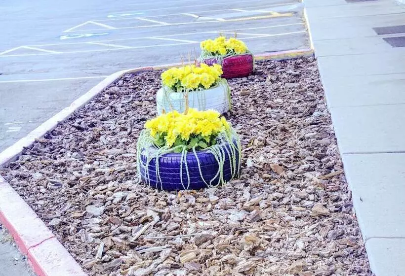 モーテル Travelodge By Wyndham Miles City