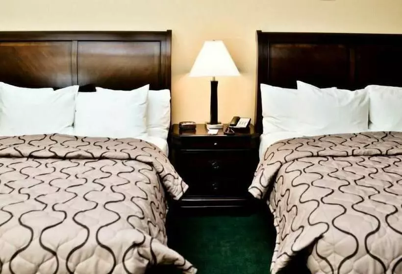 Pacer Inn & Suites Motel