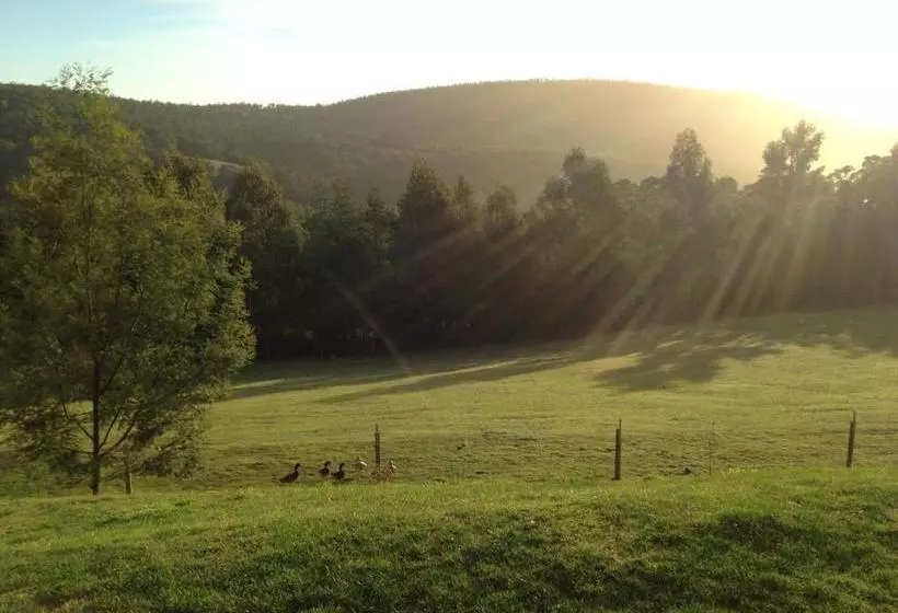 Arjuna Ridge Bed & Breakfast