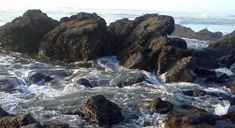 ベッドアンドブレックファースト Salmonberry Inn & Beach House