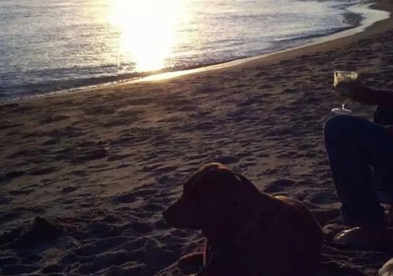 ベッドアンドブレックファースト Salmonberry Inn & Beach House