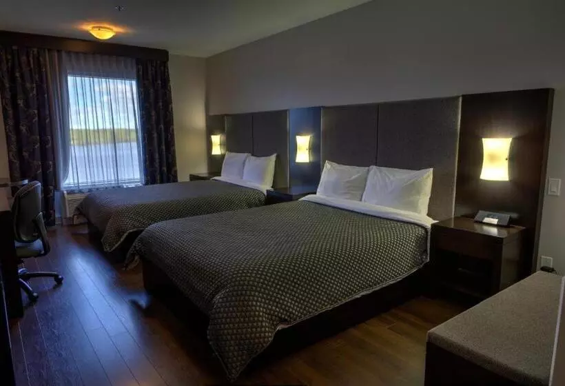 酒店 Hôtel De La Boréalie