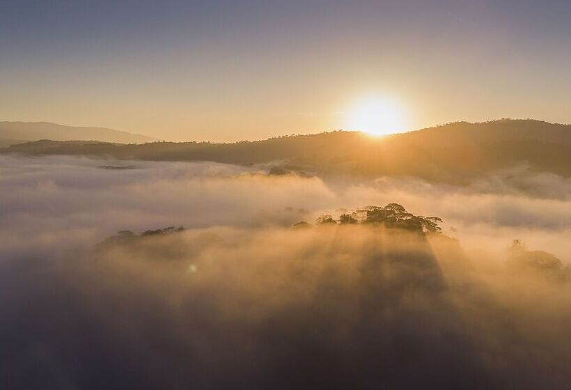 호텔 Esquinas Rainforest Lodge