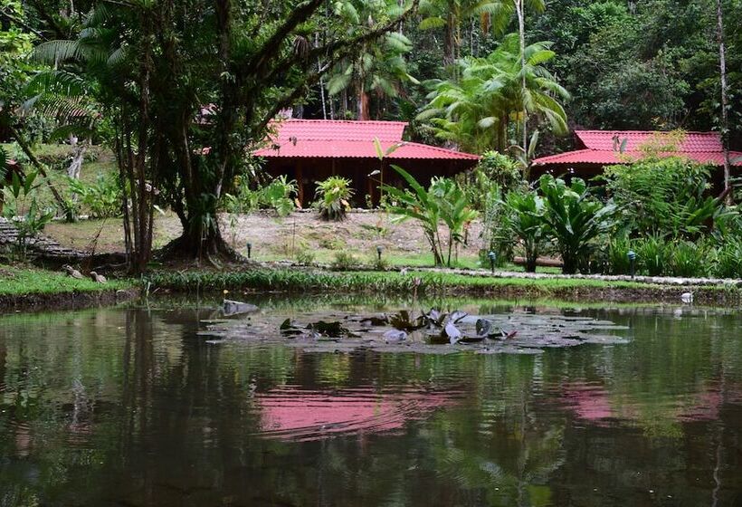 호텔 Esquinas Rainforest Lodge