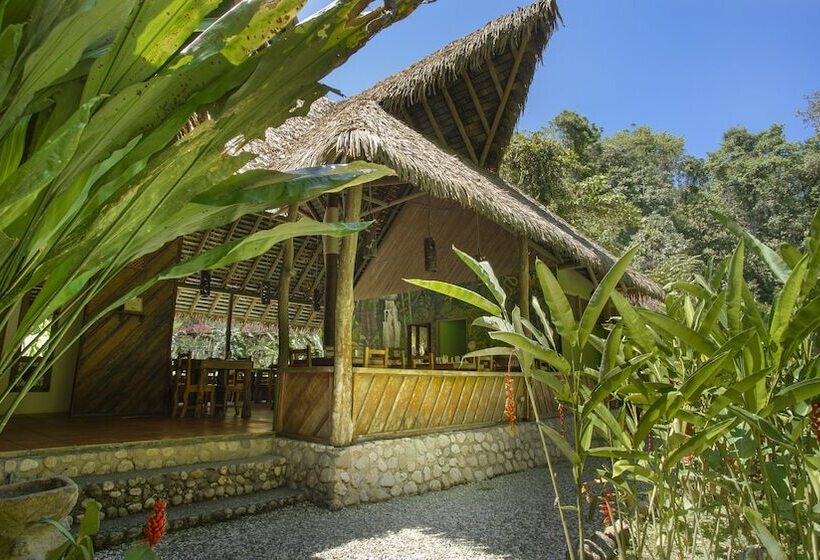 호텔 Esquinas Rainforest Lodge