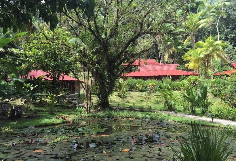 호텔 Esquinas Rainforest Lodge