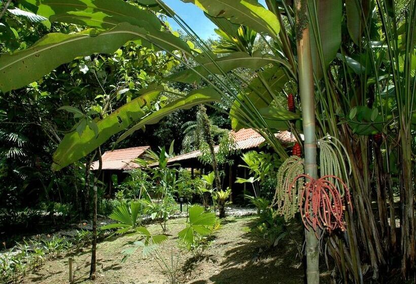 호텔 Esquinas Rainforest Lodge