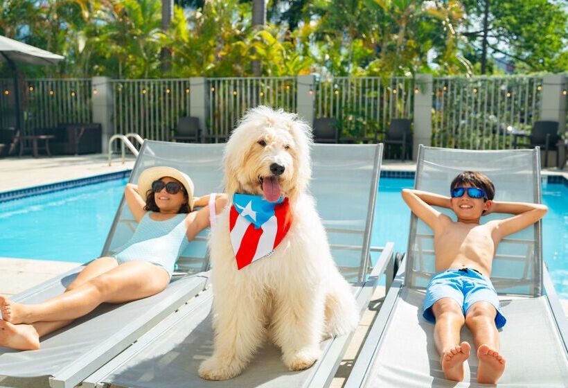 هتل Hyatt Place Bayamon