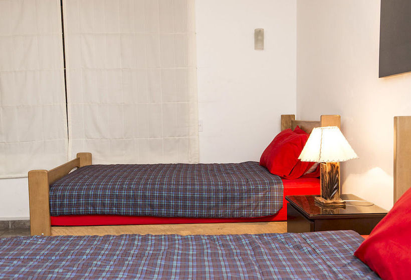 فندق Llama Brothers