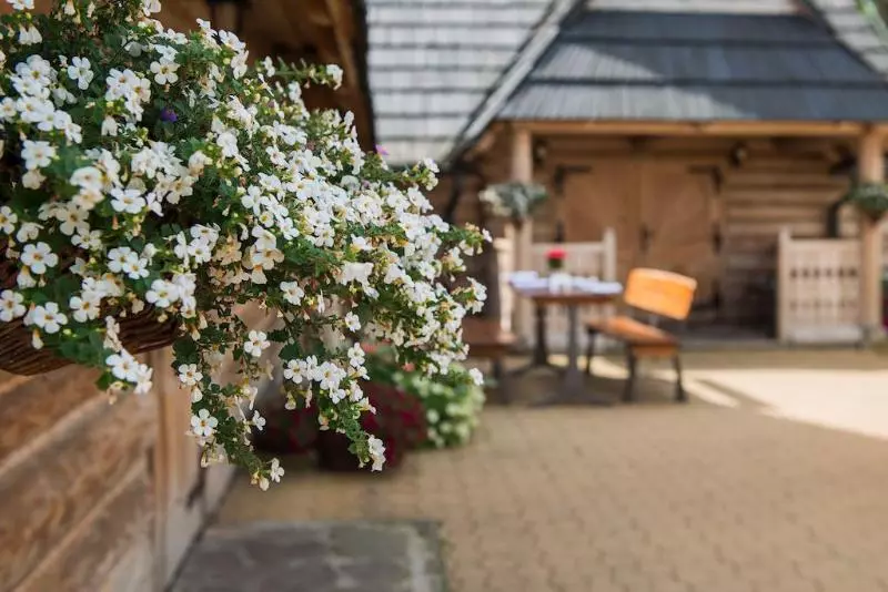 בית מלון כפרי Warszawianka