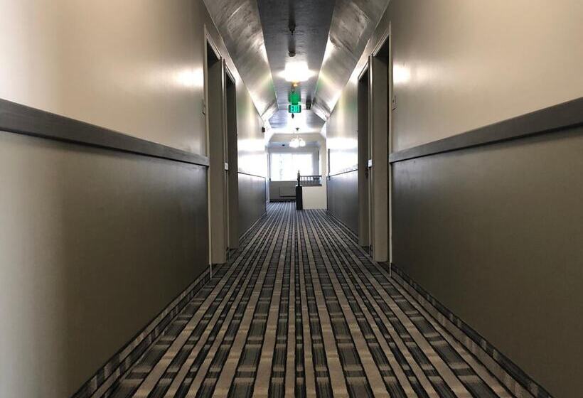 汽车旅馆  Ameri Stay Inn & Suites