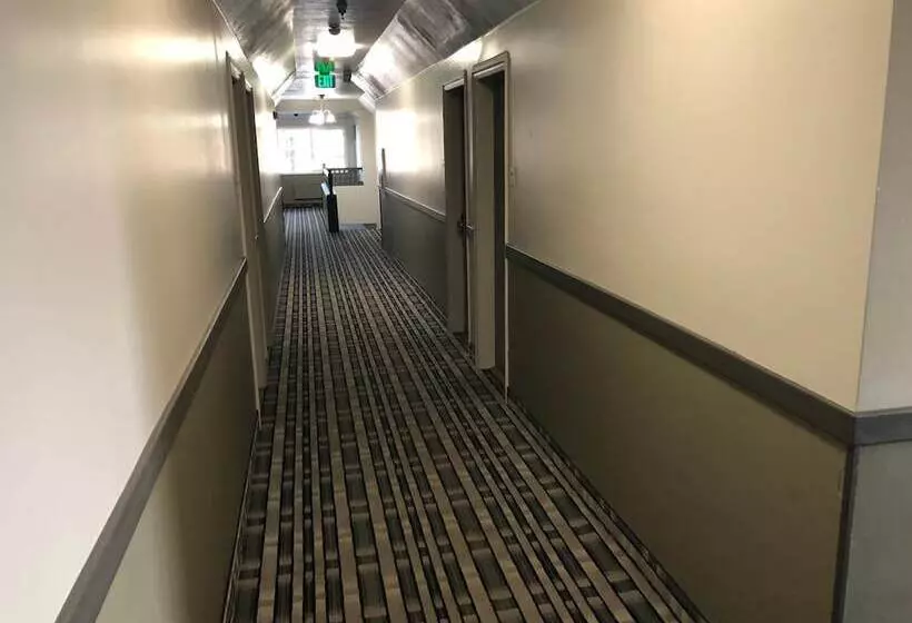 汽车旅馆 Ameri Stay Inn & Suites