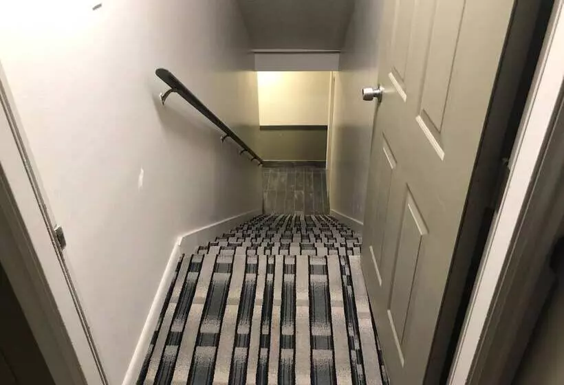 汽车旅馆 Ameri Stay Inn & Suites