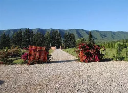 بنسيون Lemon3lodge