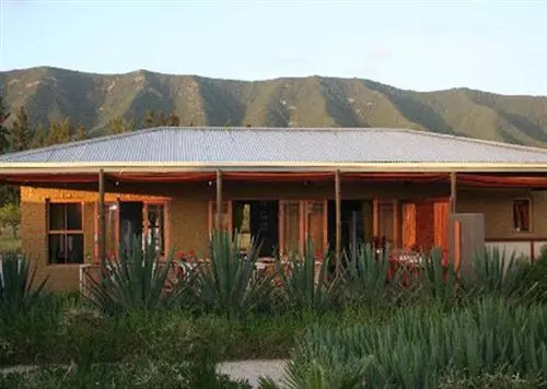 بنسيون Lemon3lodge