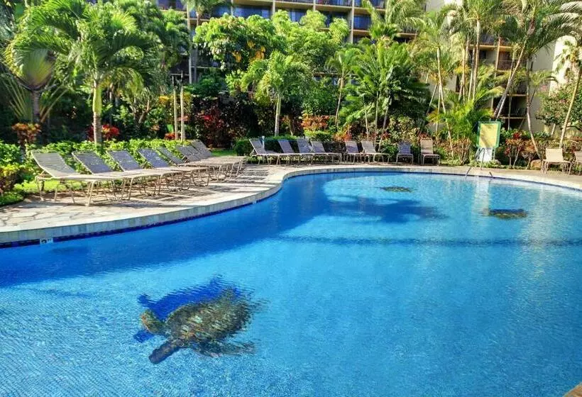 Hotelli Kaanapali Shores 804