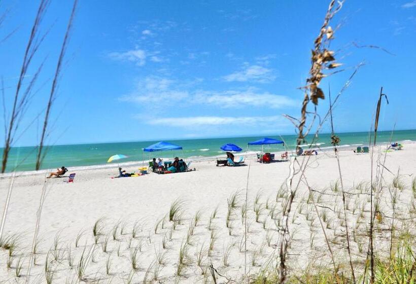 ホテル 2 Bed 2 Bath Apartment In Tampa Bay