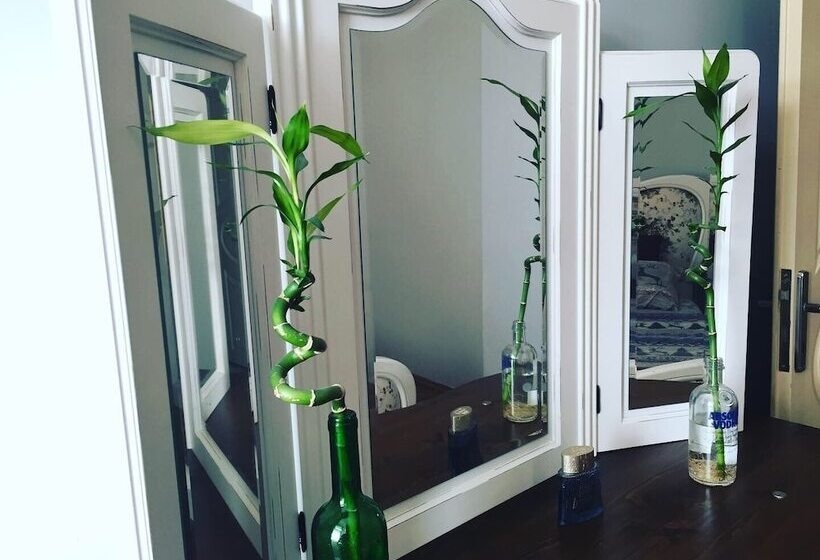 هتل Ali Baba Guest Haus