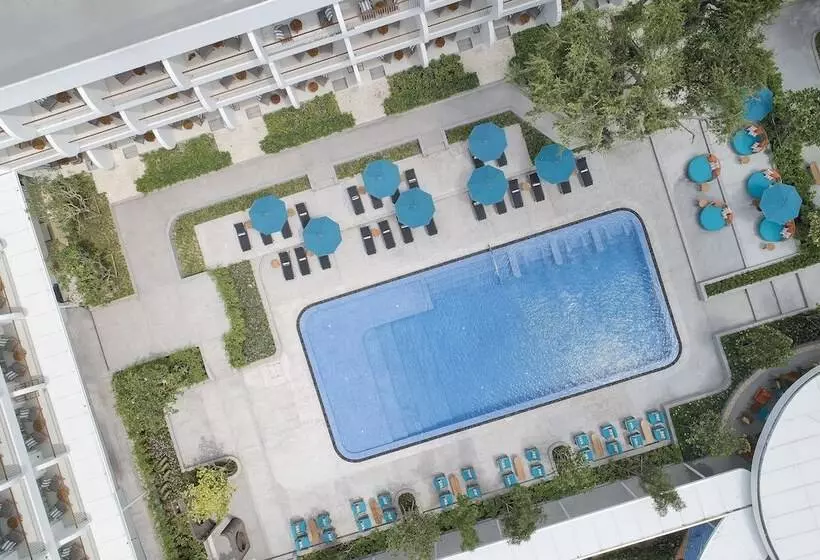 Avani Chaweng Samui Hotel & Beach Club   Adults Only