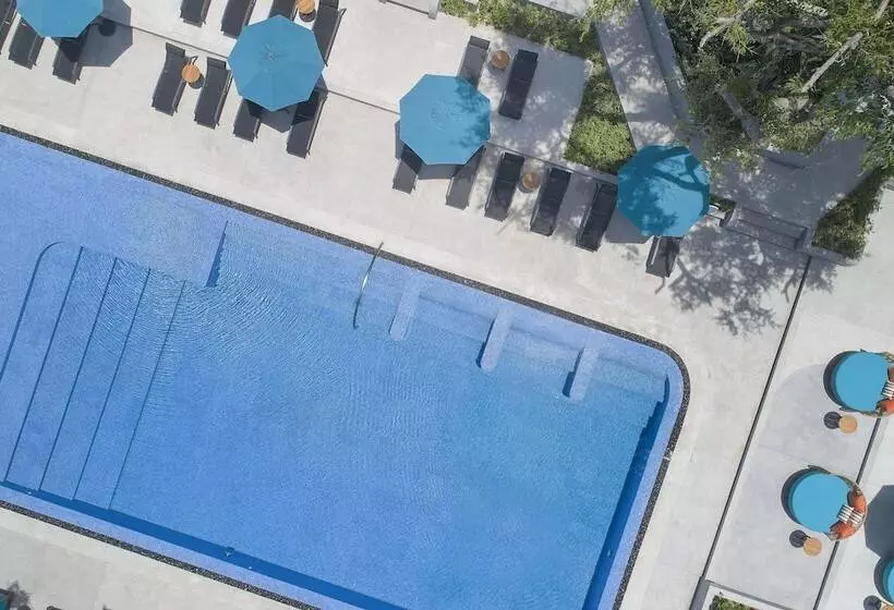 Avani Chaweng Samui Hotel & Beach Club   Adults Only