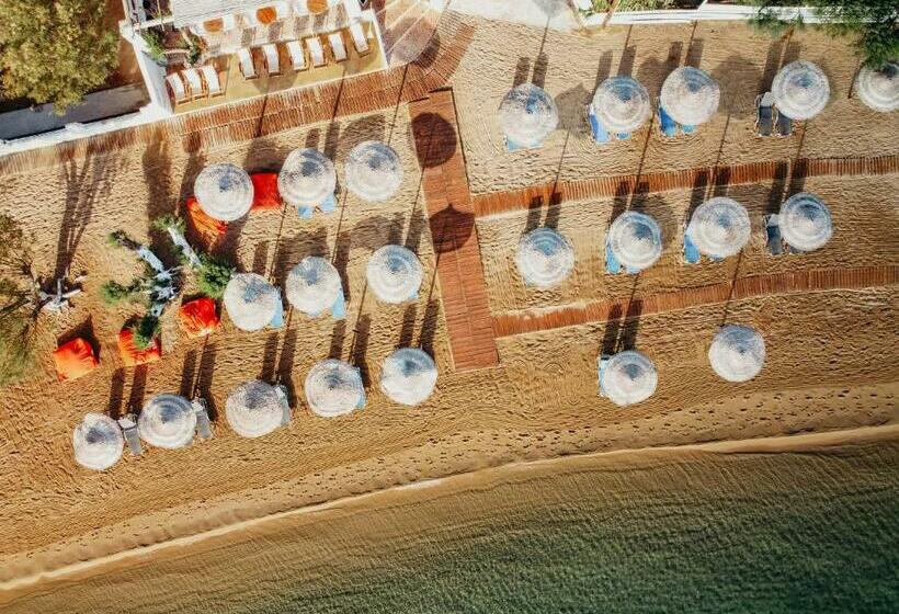 호텔 Coralli Seaside Resort